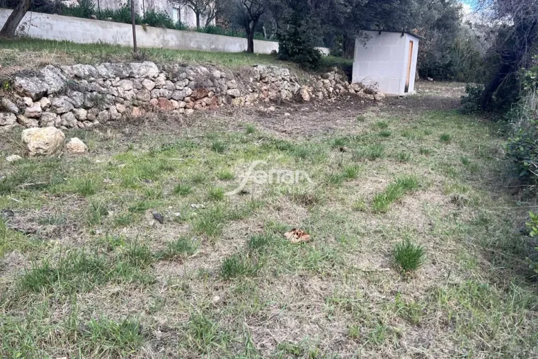 Agence immobilière pour achat de terrain à Draguignan, Trans-en-Provence, Agence Ferran